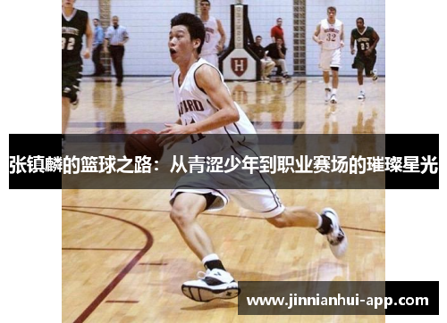 张镇麟的篮球之路：从青涩少年到职业赛场的璀璨星光